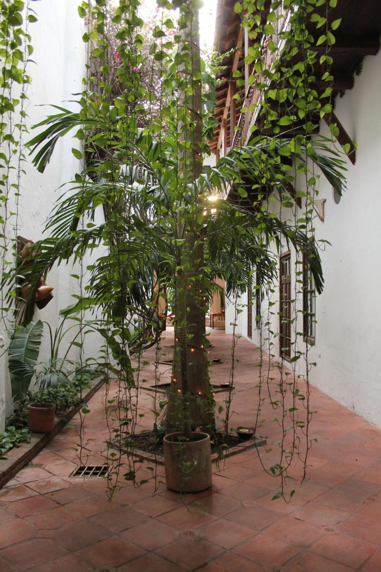 Casa Del Tejadillo Hotel Cartagena Bagian luar foto